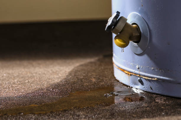 Best Basement water damage restoration  in Woodsboro, TX