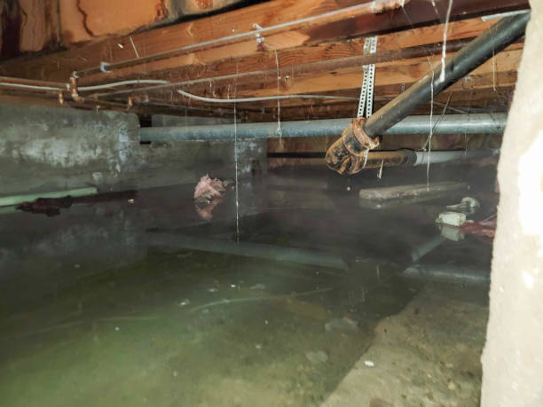 Best Water damage restoration company  in Woodsboro, TX