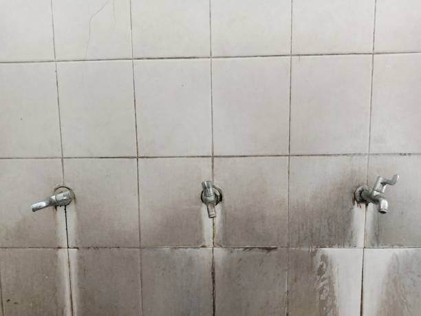 Best Professional water damage repair  in Woodsboro, TX