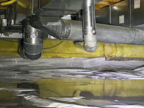 Best Local water damage restoration  in Woodsboro, TX