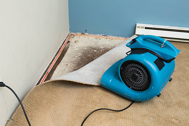 Best Water damage contractors near me  in Woodsboro, TX